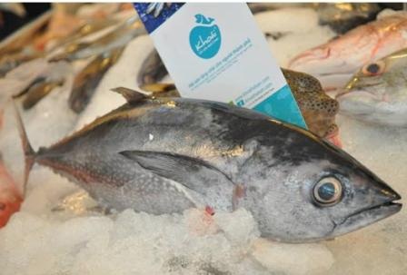 Nguồn nguyên liệu tươi ngon từ làng chài là điều Bếp của Khoái luôn ưu tiên hàng đầu