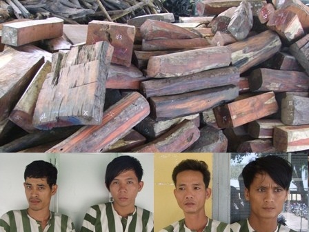 4 đối tượng vận chuyển gỗ lậu cùng tang vật