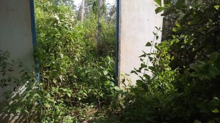 Hàng chục hộ dân kêu cứu vì cơ sở xả thải ô nhiễm - 2 Nhà cô Mười cạnh nhà máy nên phải bỏ hoang cả năm nay