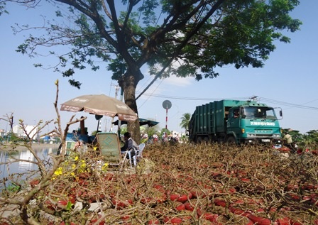 Các chợ hoa, đường phố phải được dọn sạch đẹp trước 22h đêm giao thừa