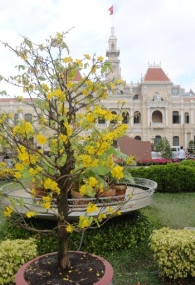 Thấp thoáng sau lưng là tòa nhà UBND Thành phố