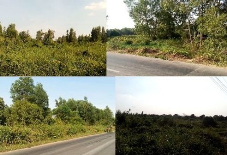 Hơn 300 ha đất đang
hoang hóa từng ngày