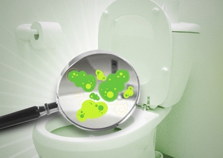 Hãy
cùng tìm hiểu những nơi vi khuẩn trú ngụ nhiều và cách loại bỏ chúng tốt nhất
nhé!