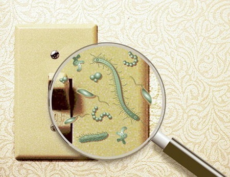 Hãy
cùng tìm hiểu những nơi vi khuẩn trú ngụ nhiều và cách loại bỏ chúng tốt nhất
nhé!