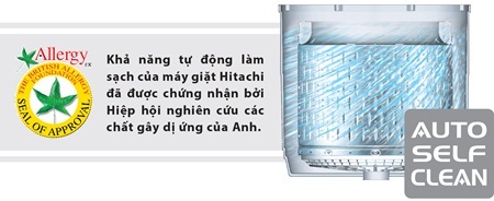 Cuộc sống vẹn tròn khi làm mẹ - 5 Truy cập