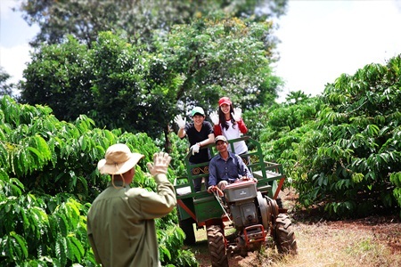 Phan Ý Yên: Cùng nhìn một mặt khác của truyền hình thực tế - 1 Phan Ý Yên: Cùng nhìn một mặt khác của truyền hình thực tế