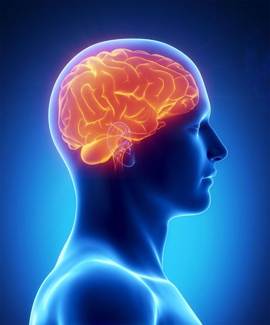 UniBrain – Dưỡng chất cho một trí tuệ minh mẫn - 1 UniBrain – Dưỡng chất cho một trí tuệ minh mẫn