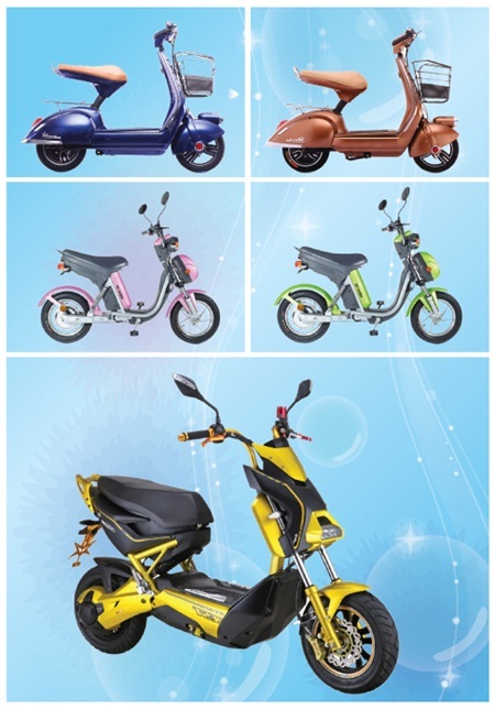 Ảnh các sản phẩm được
bán tại Pico