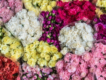 Các chủ thể có cùng màu
xanh nhưng vẫn được diễn tả với sắc độ đa dạng