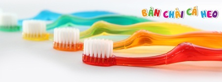 Mách mẹ bí quyết chăm sóc răng sữa cho con yêu - 2 Mách mẹ bí quyết chăm sóc răng sữa cho con yêu