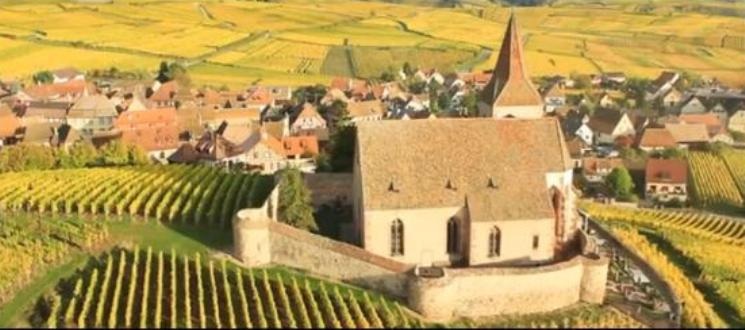 Khám phá con đường rượu vang đầu tiên nước Pháp