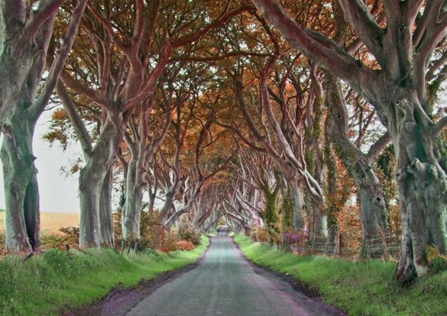 Khám phá con đường "đậm chất hắc ám" ở Ireland - 5 Hà Anh