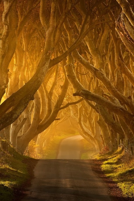 Khám phá con đường "đậm chất hắc ám" ở Ireland - 7 Hà Anh