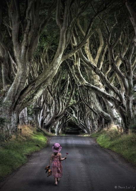Khám phá con đường "đậm chất hắc ám" ở Ireland - 8 Hà Anh