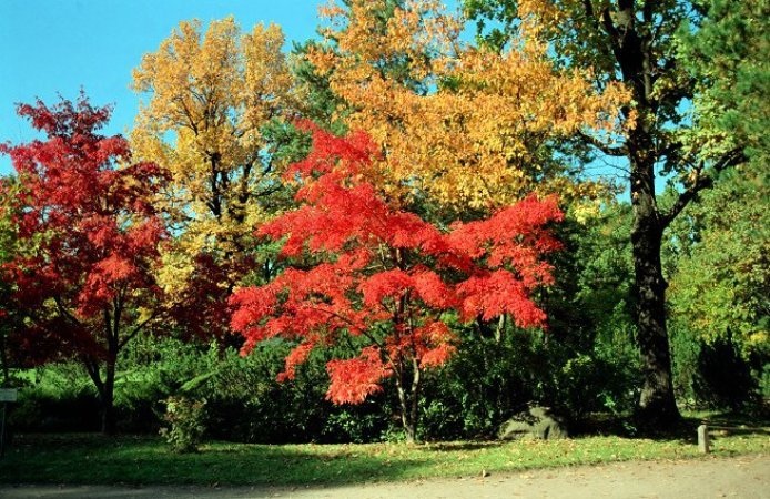 “Thiên đường xanh” tại Mátxcơva