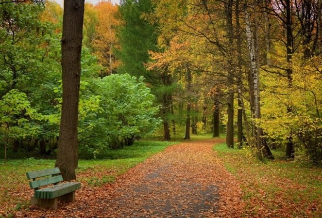 “Thiên đường xanh” tại Mátxcơva