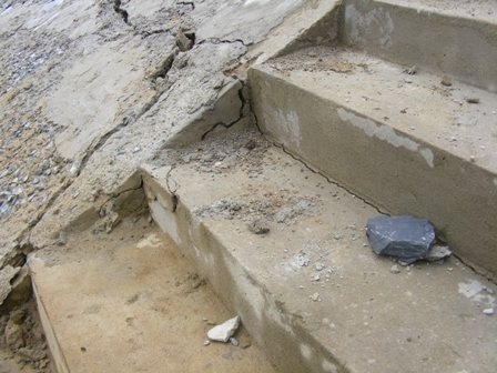 Vết rạn nứt chân chim