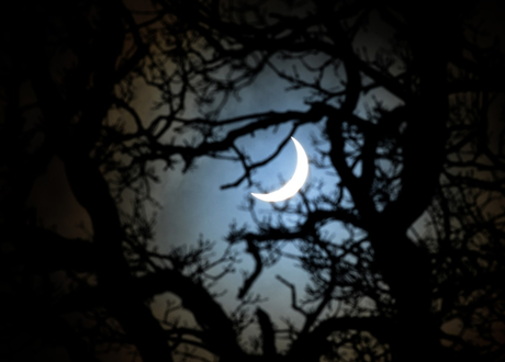 Một hình ảnh nhật thực được chụp dưới tán cây tại vùng Yorkshire, nước Anh. (Ảnh: 