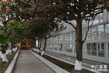 Hình ảnh các nữ quân nhân Trung Quốc tạo dáng trước đê chắn sóng, phía sau là nhà kính trồng rau.