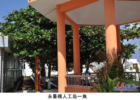 Hình ảnh các nữ quân nhân Trung Quốc tạo dáng trước đê chắn sóng, phía sau là nhà kính trồng rau.