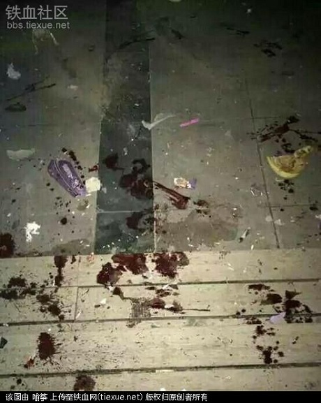 Bạch Trúc- Hương Giang