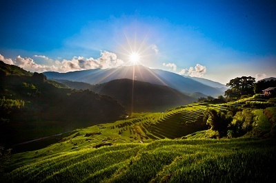 Chinh phục Fansipan, đón mùa xuân hoa nở