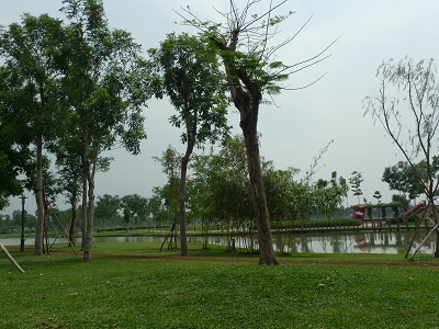 Mọi chi tiết vui lòng liên hệ: