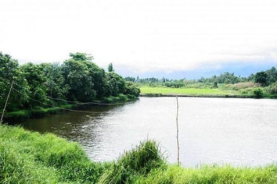 Cho vay nông nghiệp nông thôn: Món vay nhỏ nhưng thị trường lớn - 1 Cho vay nông nghiệp nông thôn: Món vay nhỏ nhưng thị trường lớn