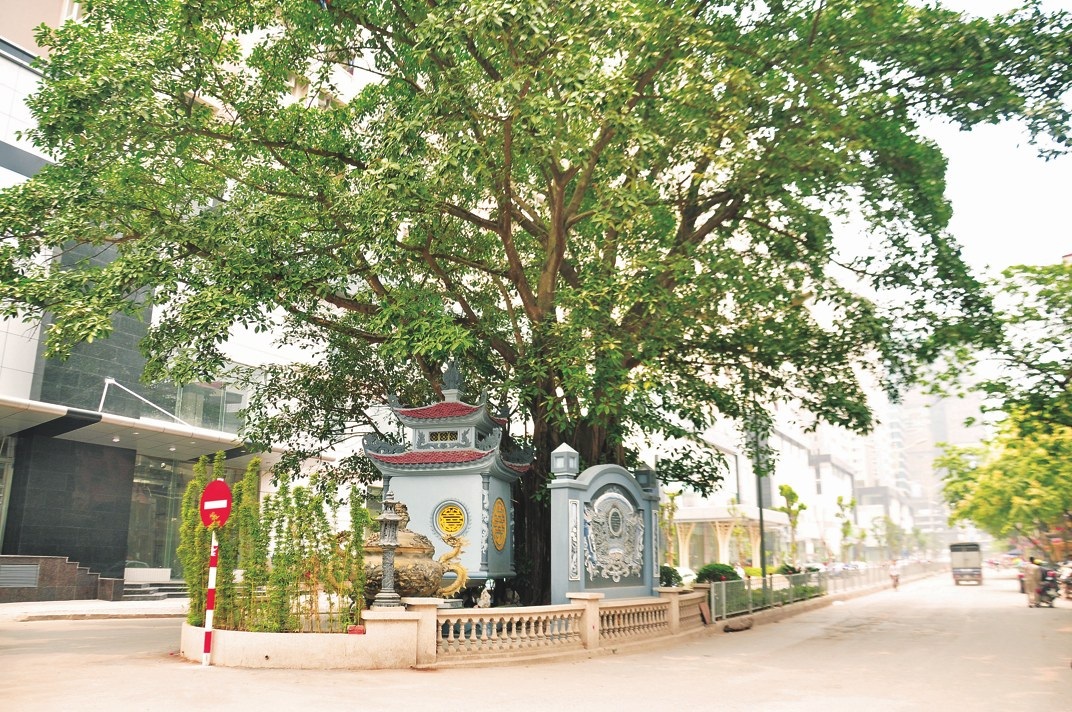 Hapulico: Không muốn thành ốc đảo sang trọng mà xa lạ - 3 Không gian tâm linh cũ được gần gũi và tôn tạo.