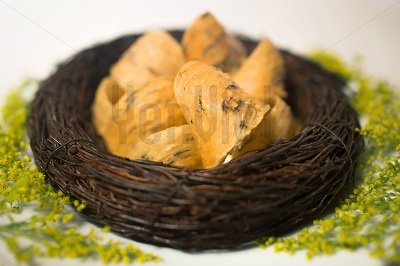 Hồng Yến Phương Nam Yến Việt.