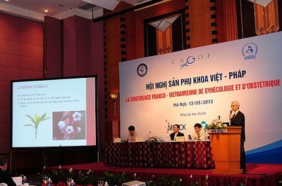 Những điều chưa biết về các thảo dược trẻ hóa “vùng kín” - 1 Những điều chưa biết về các thảo dược trẻ hóa “vùng kín”
