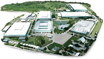Khám phá và trải nghiệm cùng Grendene - 3 Quy mô công ty Grendene
