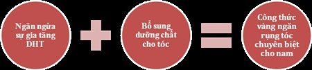 Hormone DHT gia tăng: Thủ phạm hàng đầu khiến nam giới rụng tóc - 2 Công thức vàng giúp ngăn rụng tóc chuyên biệt cho nam