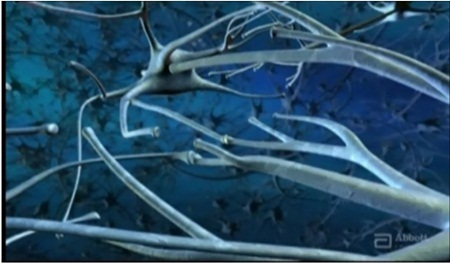 Những điều mẹ cần biết ngay từ khi mang thai - 1 Tuần thứ 13, có 250.000 tế bào thần kinh hình thành tại não bộ của bé trong mỗi phút