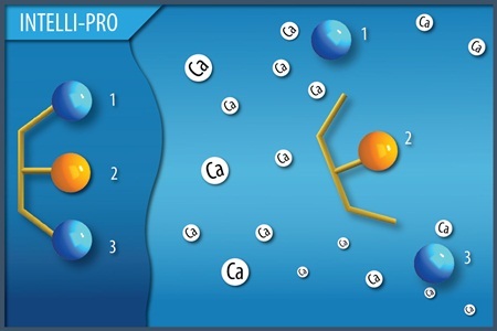 Những nghiên cứu lâm sàng