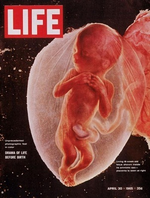 Những bìa báo ấn tượng nhất - 3 LIFE