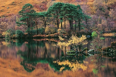 Phong cảnh hùng vĩ trong “Linh hồn xứ Scotland” - 9 Lá mùa thu bên hồ Eilt phía trước khách sạn Glenfinnan.