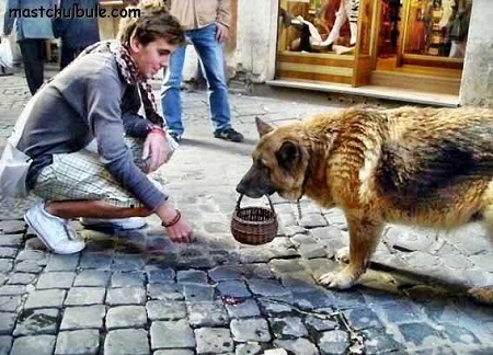 Khám phá cuộc sống của giới hành khất ở Châu Âu