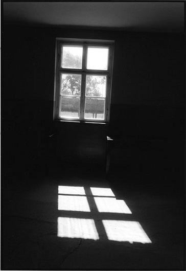 Bà Sara Duvall ôm ảnh cậu con trai Aaron Reed đã hy sinh trong cuộc chiến tranh Iraq.