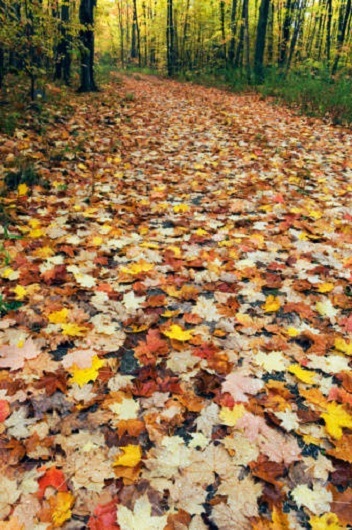 Bán đảo Bruce, Ontario