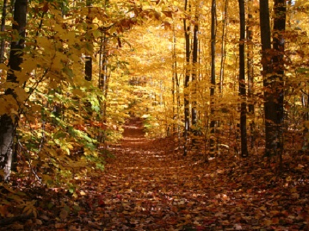 Dãy núi Laurentian, Quebec