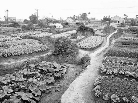 Nhiếp ảnh gia gốc Việt đoạt giải “Thiên tài” trị giá nửa triệu đô - 12 Sơn Tây, 1998