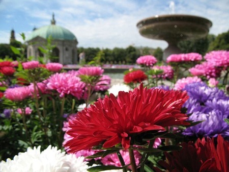 Vườn hoa ở thành phố Munich, Đức