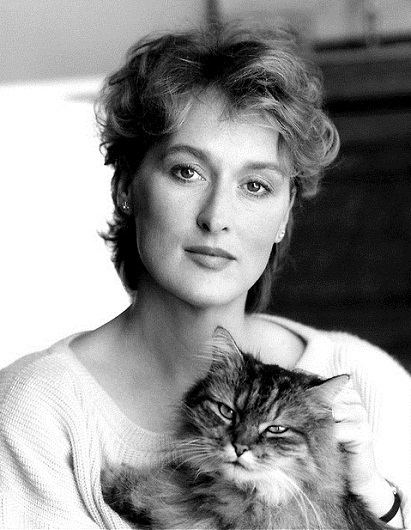 Giành giải với các vai diễn trong phim: