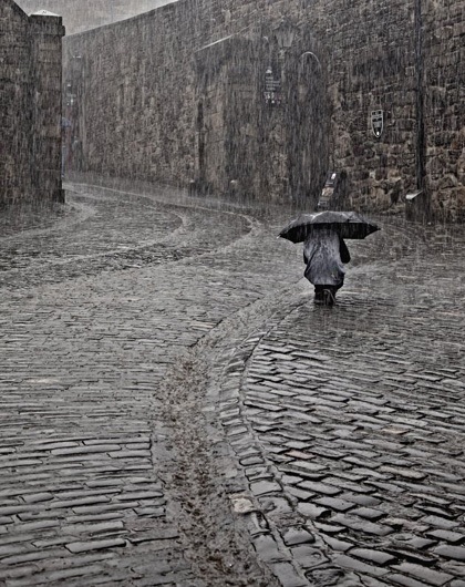 Những bức ảnh thiên nhiên đẹp nhất của năm 2012 - 7 Những bức ảnh thiên nhiên đẹp nhất của năm 2012