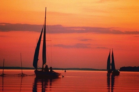 Lễ hội nấm Alba