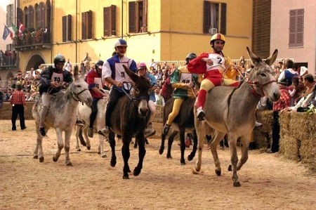 Cuộc thi đua lừa