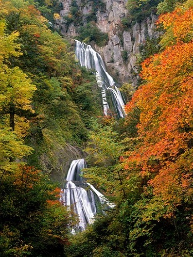 Cuộc thi đua lừa