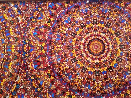 Người xem thì vô cùng thích thú mỗi khi có chú bướm đậu lên mình