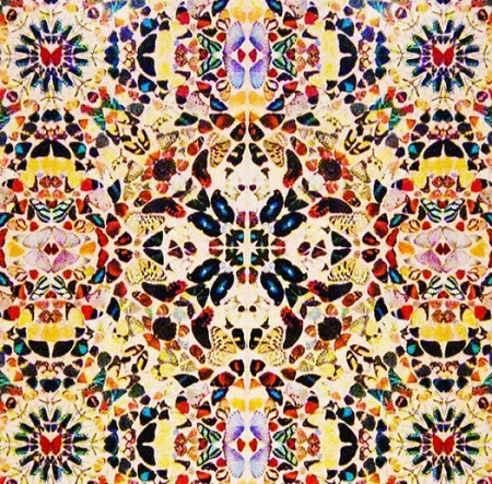 Người xem thì vô cùng thích thú mỗi khi có chú bướm đậu lên mình